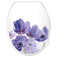 ЦБ-00102980-min_11112020122939