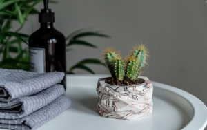 ЦБ-00162073_082025133254