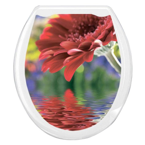 К8582_12032019134107