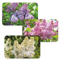 ЦБ-00096469_20032020124134