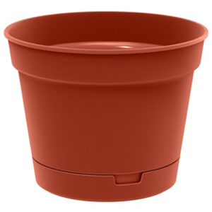 ЦБ-00139212_1_16032023114722