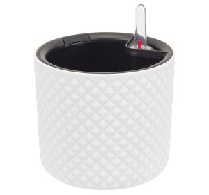 ЦБ-00151265_022024140839