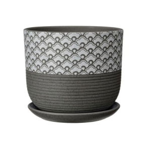 ЦБ-00143089_092023150542