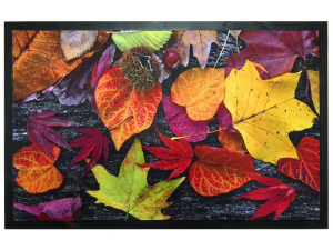 ЦБ-00059330_15032019113811