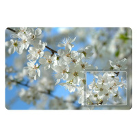 Ч1981_17092018163522