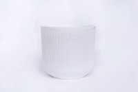 ЦБ-00152037_082025162921