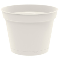 ЦБ-00139207_1_16032023114703