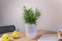 ЦБ-00163984_082025142247