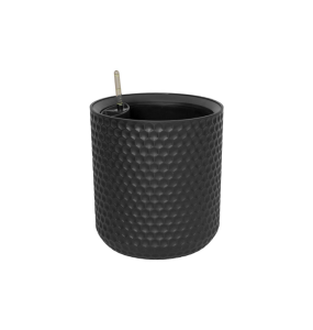 ЦБ-00152163_022024110138