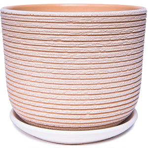 ЦБ-00143058_082023154721