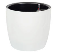 ЦБ-00151263_022024135606