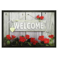 ЦБ-00038703_31012019144521