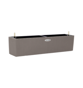 ЦБ-00147346_022024101122