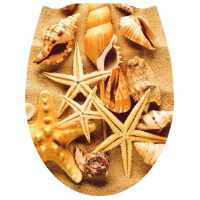 ЦБ-00104455_16122020165256