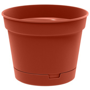 ЦБ-00139206_1_16032023114700