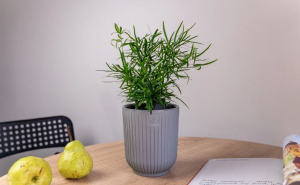 ЦБ-00163978_082025133820