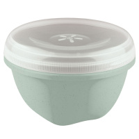 ЦБ-00121736_11022022211336