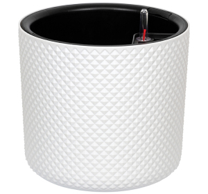 ЦБ-00151271_022024144225