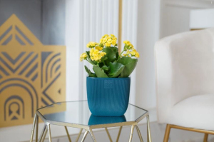 ЦБ-00157105_082025171113