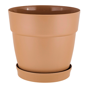 ЦБ-00144649_092024145834