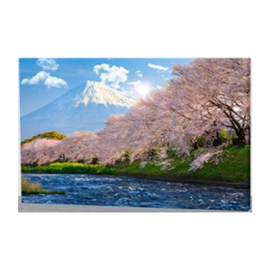 ЦБ-00082947_28052019162447