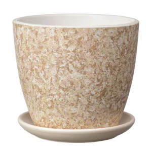 ЦБ-00143047_082023122502