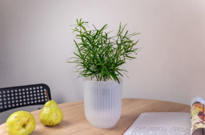 ЦБ-00163984_082025142247