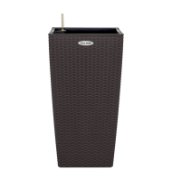 ЦБ-00152195_022024111515