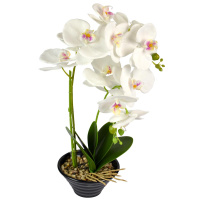 М3423_06032020150224