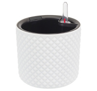 ЦБ-00151265_022024140839