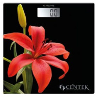 ЦБ-00040390_31012019144604