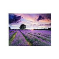 ЦБ-00082942_28052019162443