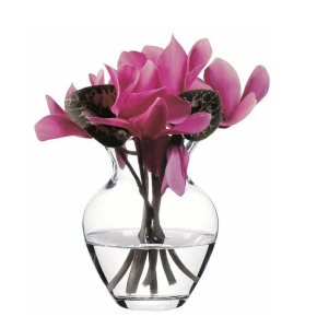 ЦБ-00110515_042023115337