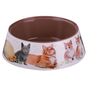 ЦБ-00023099_30112018111235