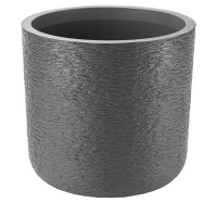 ЦБ-00142937_082024130608