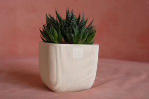 ЦБ-00157108_082025132526