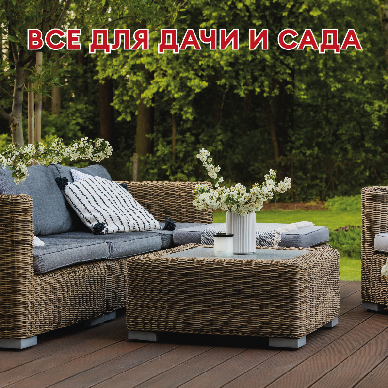 Акция на новые товары 