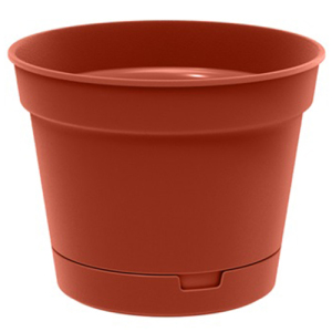 ЦБ-00139209_1_16032023114710