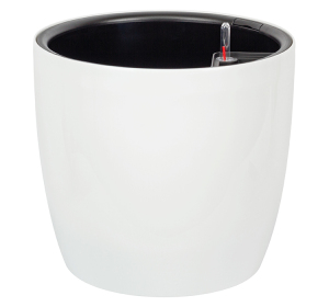 ЦБ-00151263_022024135606