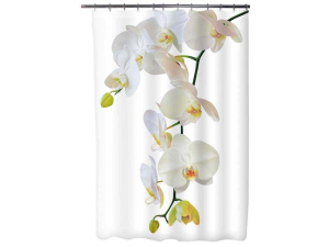 ЦБ-00063221_15032019114320