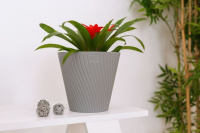 ЦБ-00152035_082025161816