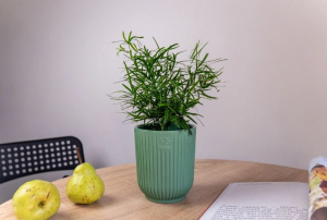 ЦБ-00163982_082025135848