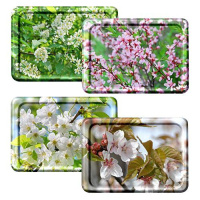 Я6885_15032019132633