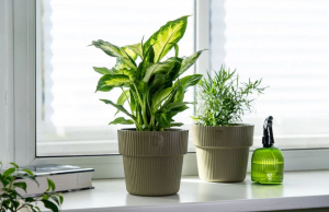 ЦБ-00162046_082025133726