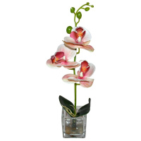 Л8406_12032019135657