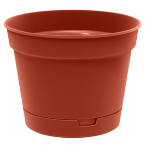 ЦБ-00139203_1_16032023114650