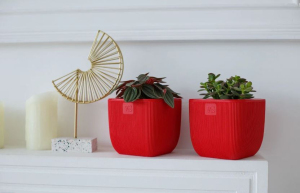 ЦБ-00157106_082025171452