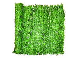 ЦБ-00062917_21062018161038