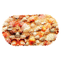 ЦБ-00090327_18102019114022