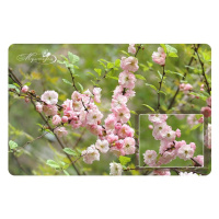 Ч3203_15032019131754